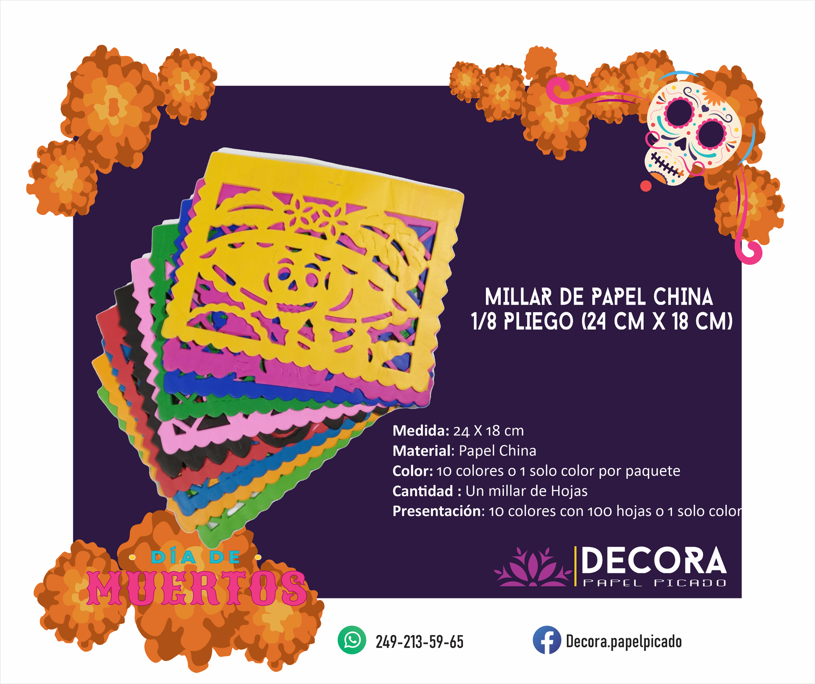 Página 13