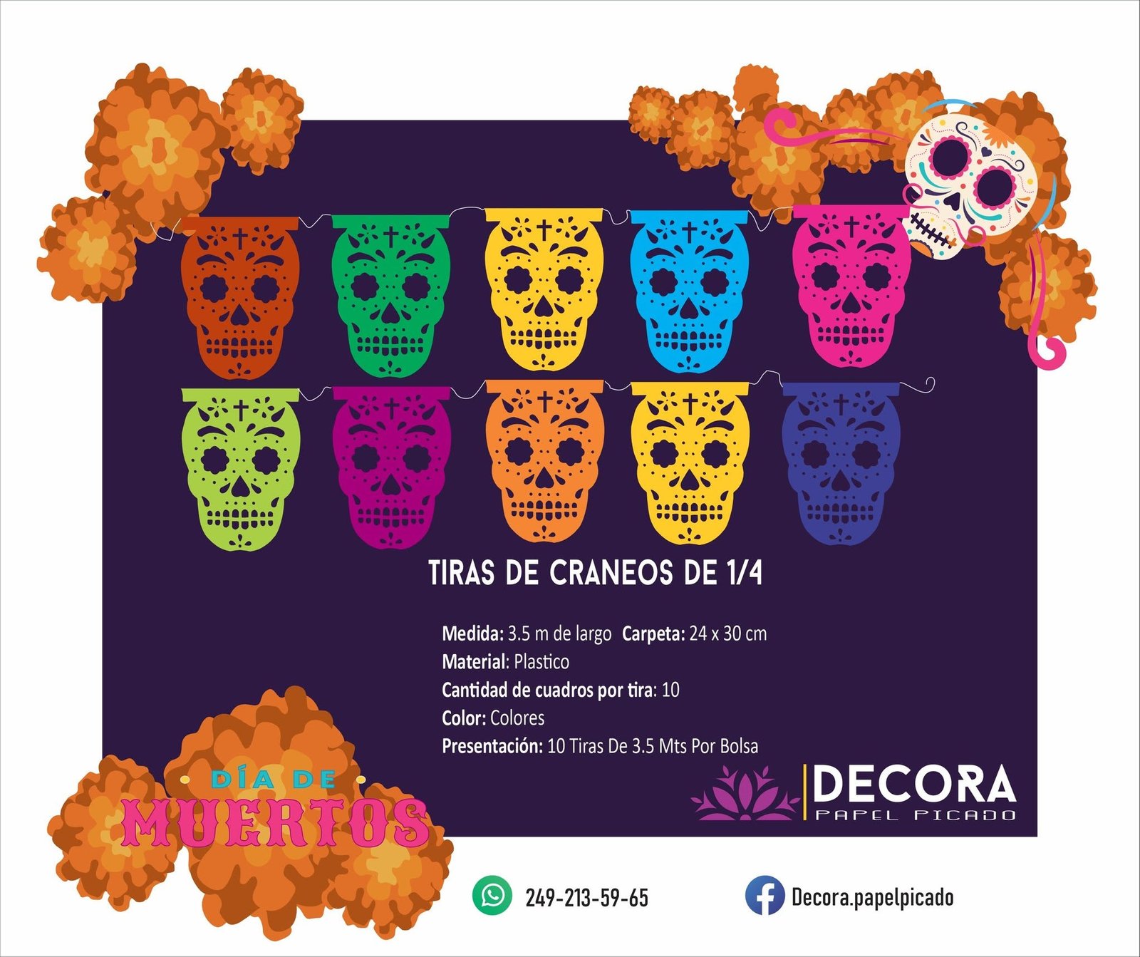 tiras de cráneo 1/4